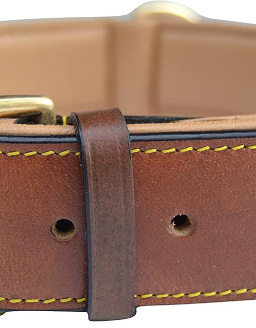 Load image into Gallery viewer, - Luxury Real Leather Padded Dog Collar
