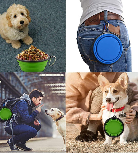 Large Collapsible Dog Bowls, 34Oz Travel Water Food Bowls Portable Foldable Collapse Dishes with Carabiner Clip for Traveling, Hiking, Walking, 2 Pack